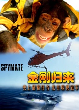 金刚归来（普通话） 海报 高清在线观看