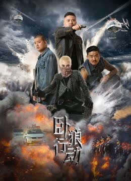 卧狼行动 海报 高清在线观看
