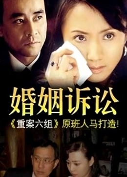 婚姻诉讼 海报 高清在线观看