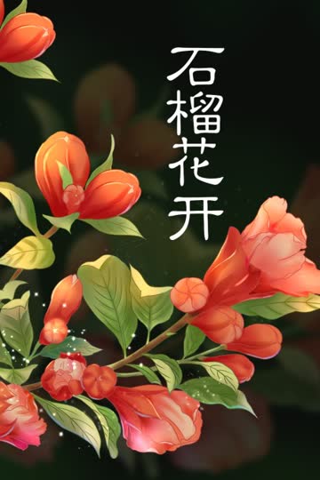 石榴花开 海报 高清在线观看