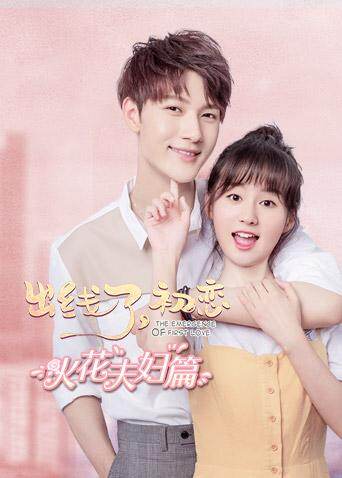 出线了，初恋 火花夫妇篇 海报 高清在线观看