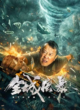 全城风暴 海报 高清在线观看