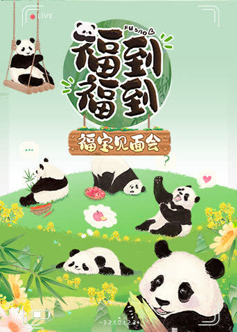 福到福到福宝见面会 海报 高清在线观看