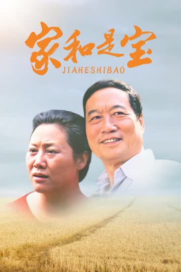 家和是宝 海报 高清在线观看