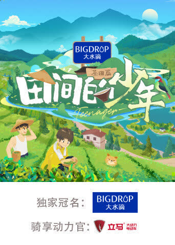 田间的少年第二季 海报 高清在线观看