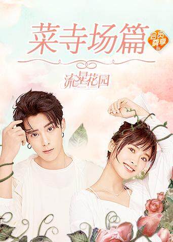 流星花园 菜寺场篇 海报 高清在线观看
