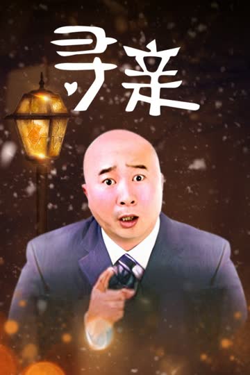 寻亲 海报 高清在线观看