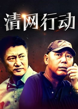 清网行动 海报 高清在线观看
