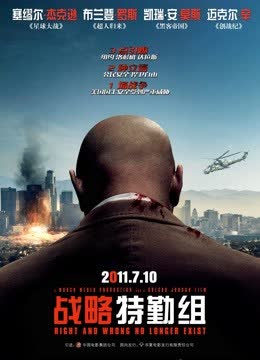 战略特勤组（2010） 海报 高清在线观看