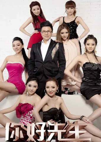 你好先生 2012 海报 高清在线观看