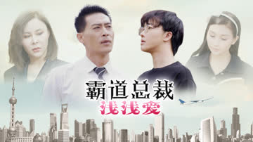 霸道总裁浅浅爱 海报 高清在线观看