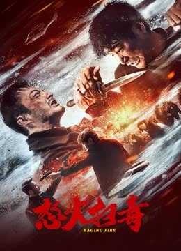 怒火扫毒 海报 高清在线观看