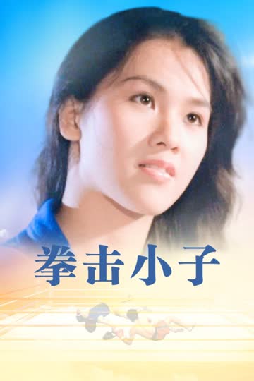 拳击小子 海报 高清在线观看
