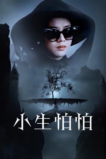 小生怕怕 海报 高清在线观看