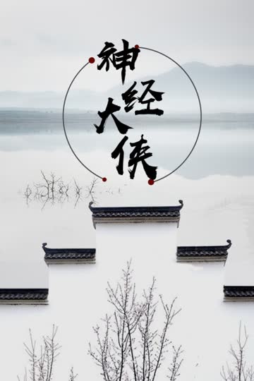 神经大侠 海报 高清在线观看