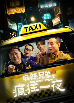 麻辣兄弟之疯狂一夜 海报 高清在线观看