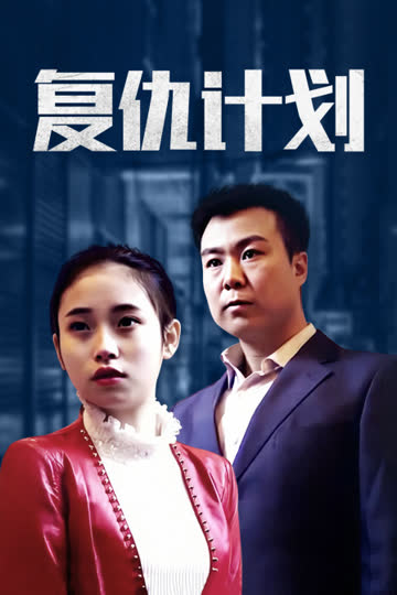 复仇计划 海报 高清在线观看