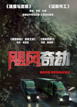 飓风奇劫（普通话） 海报 高清在线观看