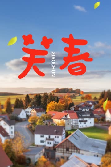 笑春 海报 高清在线观看