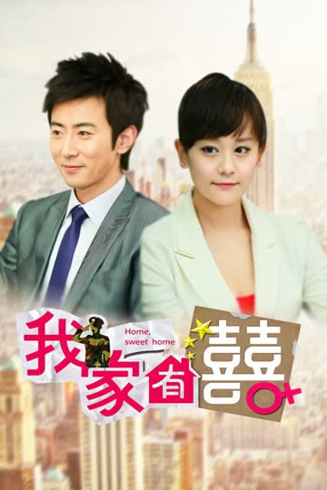 我家有喜 DVD版 海报 高清在线观看