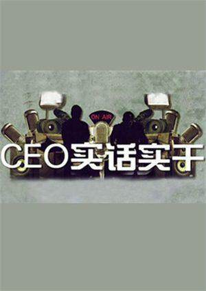 CEO实话实干 2010 海报 高清在线观看