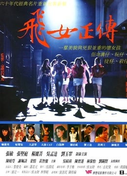 飞女正传 海报 高清在线观看