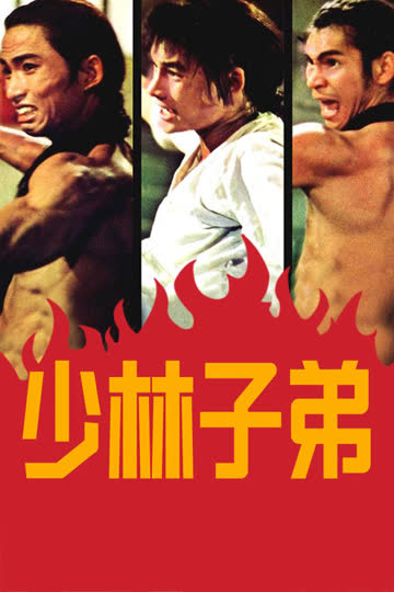 少林子弟 海报 高清在线观看