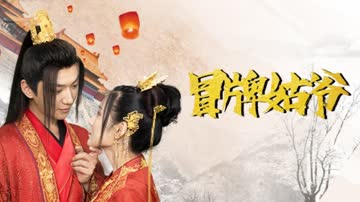冒牌姑爷 海报 高清在线观看