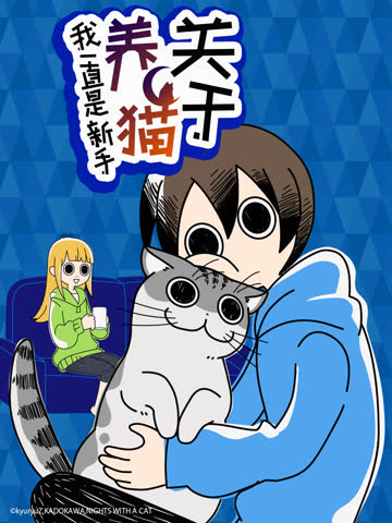关于养猫我一直是新手 海报 高清在线观看