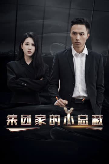 集团家的小总裁 海报 高清在线观看