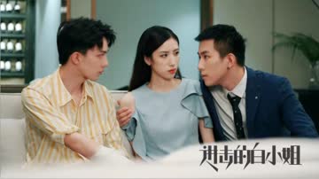 进击的白小姐 海报 高清在线观看