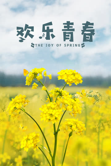 欢乐青春 海报 高清在线观看
