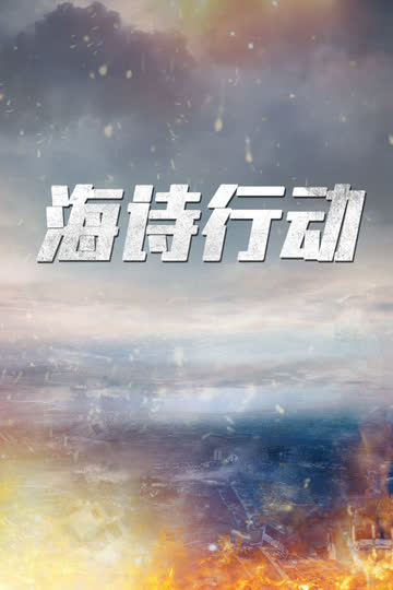 海诗行动 海报 高清在线观看