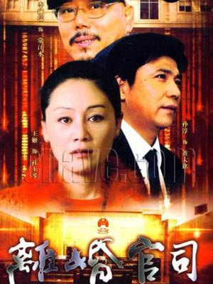 离婚官司 海报 高清在线观看