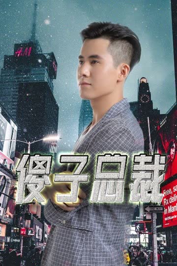 傻子总裁 海报 高清在线观看