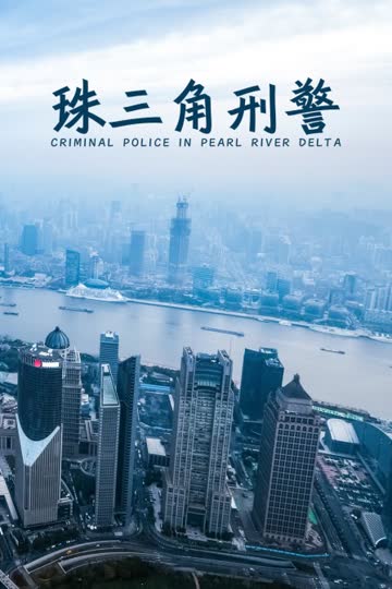 珠三角刑警 海报 高清在线观看