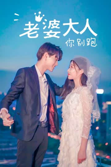 老婆大人你别跑 海报 高清在线观看