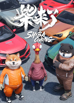 柴来了 海报 高清在线观看