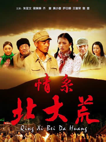 情系北大荒 海报 高清在线观看