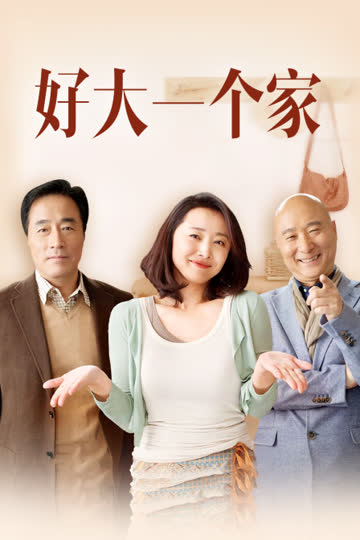 好大一个家 海报 高清在线观看