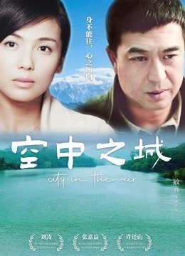 空中之城 海报 高清在线观看