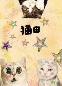 猫田 海报 高清在线观看