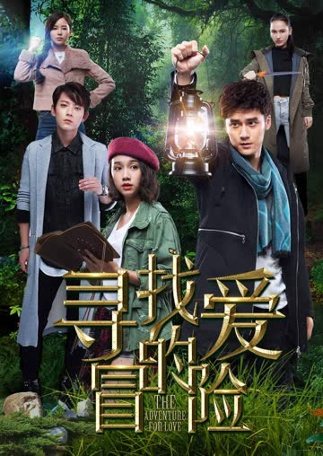 寻找爱的冒险 海报 高清在线观看
