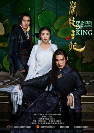 兰陵王妃DVD版 海报 高清在线观看