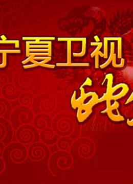 宁夏卫视2013春晚 海报 高清在线观看