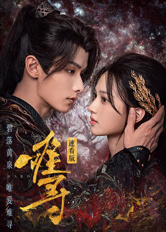 难寻速看版 在线观看