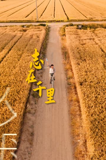 志在千里 海报 高清在线观看