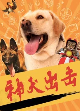 神犬出击 海报 高清在线观看