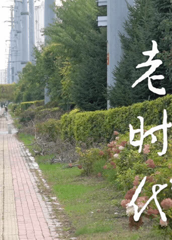 老时代 海报 高清在线观看