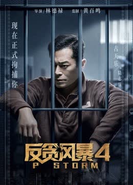反贪风暴4（粤语） 海报 高清在线观看